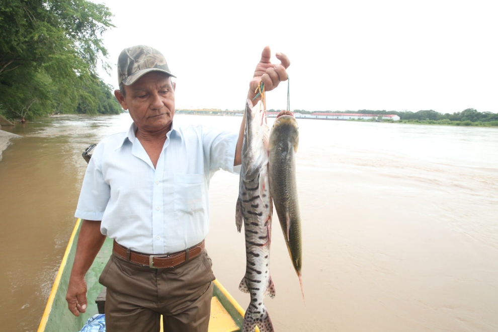 Siembran más de 1,3 millones de peces para recuperar la pesca en Cundinamarca