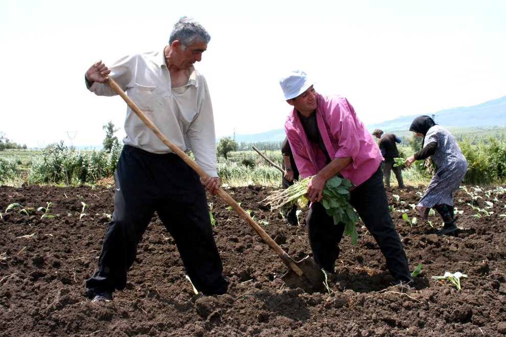 Agricultores se preparan ante posible llegada del fenómeno de El Niño en 2026