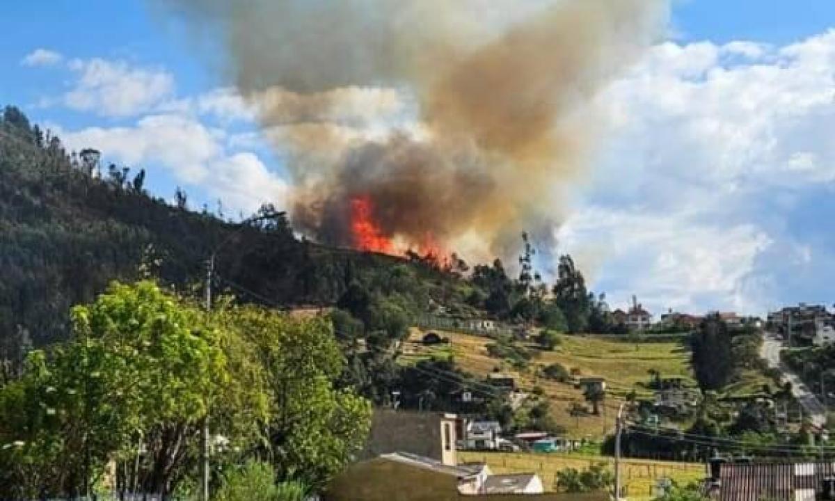 [AUDIO] En 3 municipios se presentan incendios forestales