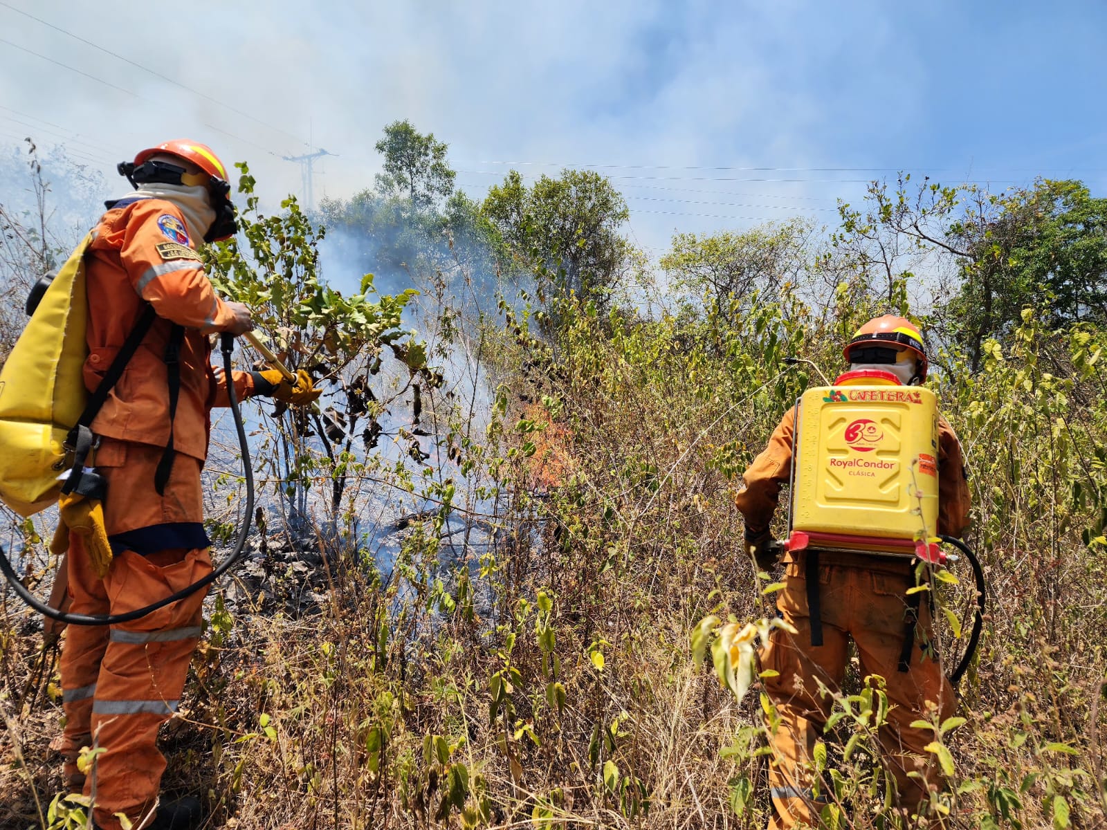 [AUDIO] Con 12 incendios activos terminó ayer la jornada