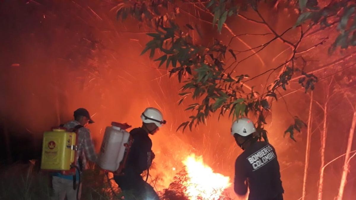 Cerca de una hectárea de café fue arrasada por incendio forestal registrado en el municipio de Timaná