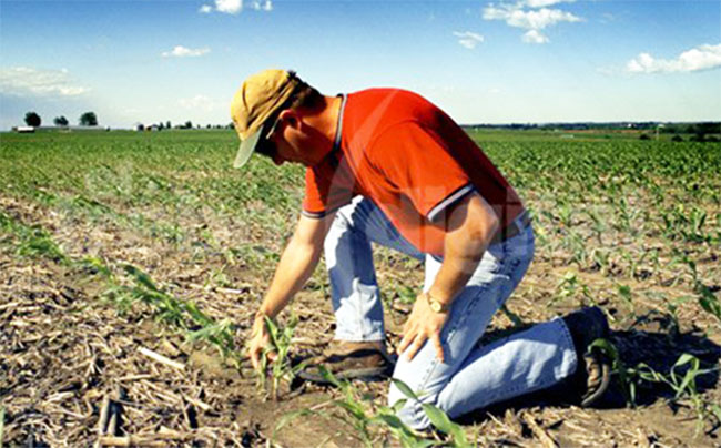 En Neiva se realizará el Congreso Nacional de Ingenieros Agrónomos