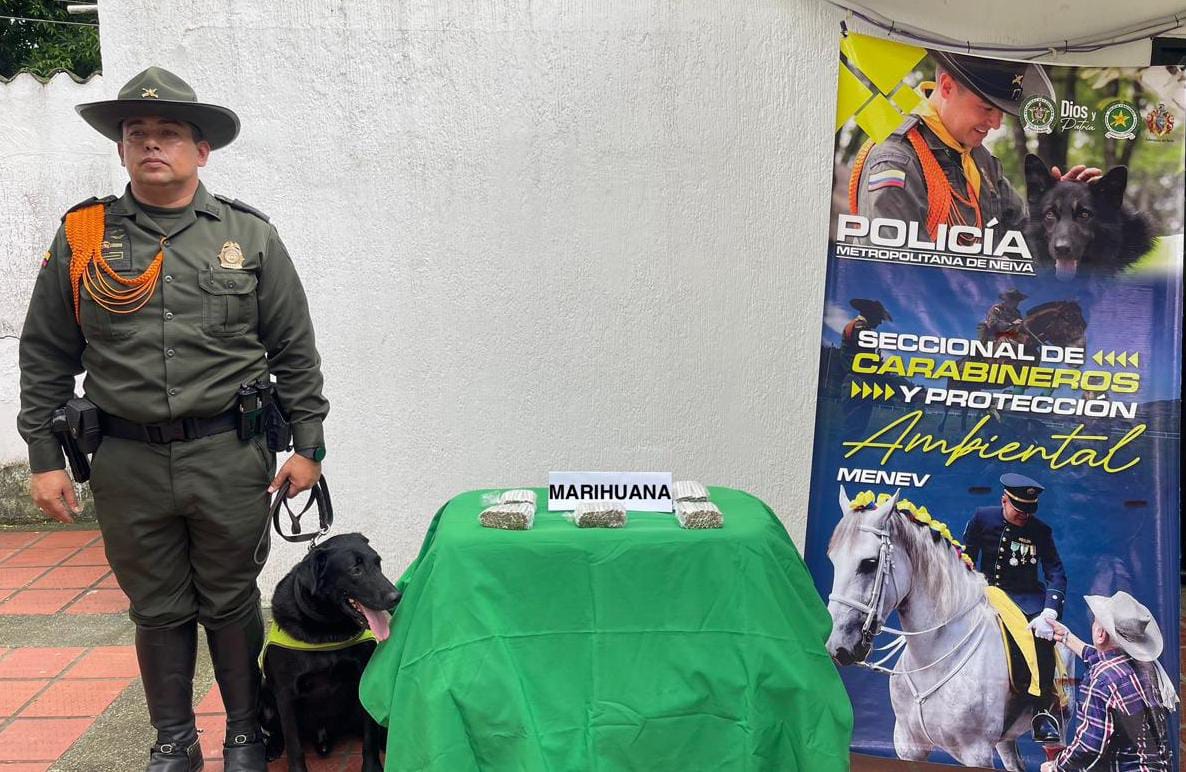 Incautados 450 gramos de marihuana