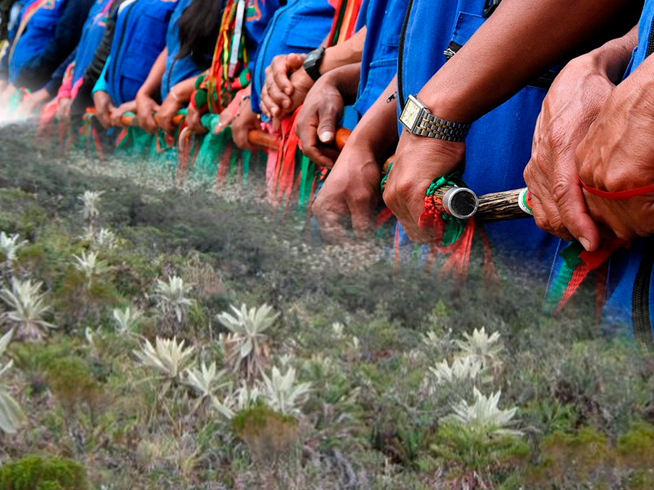 ¡Escándalo ambiental en el Huila! El Estado entrega tierras en pleno corazón del páramo de Miraflores.