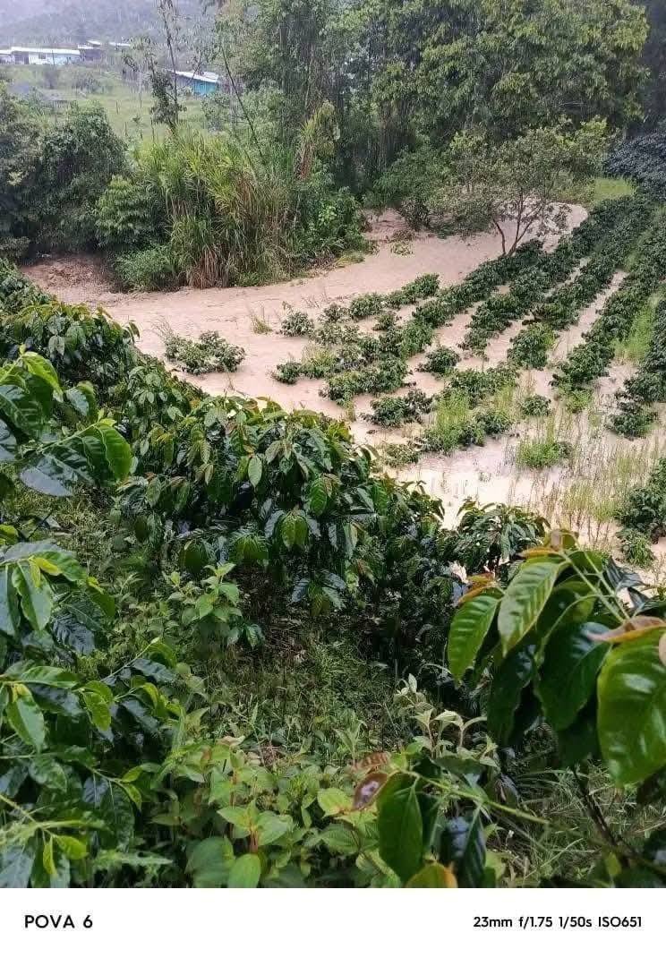 ¡Acevedo al borde del colapso! Más de 3 mil familias damnificadas y el municipio incomunicado