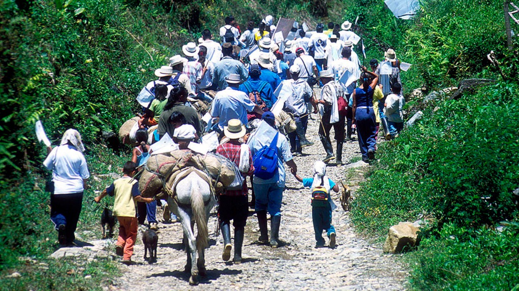 Alerta en el Huila: 475 casos de desplazamiento forzado se han reportado en lo corrido del 2025