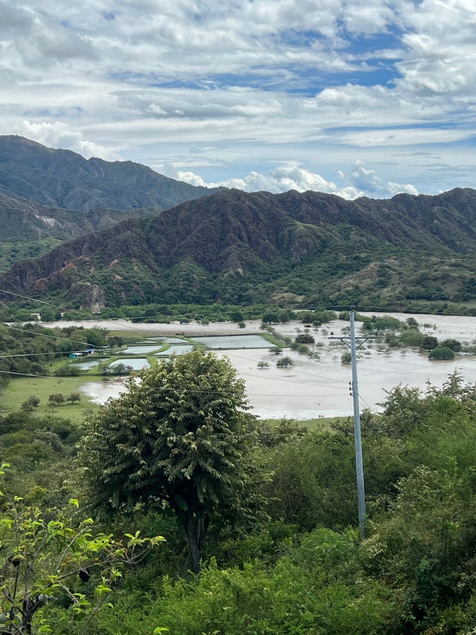 ¡Hoy hay plantón en la Gobernación del Huila!