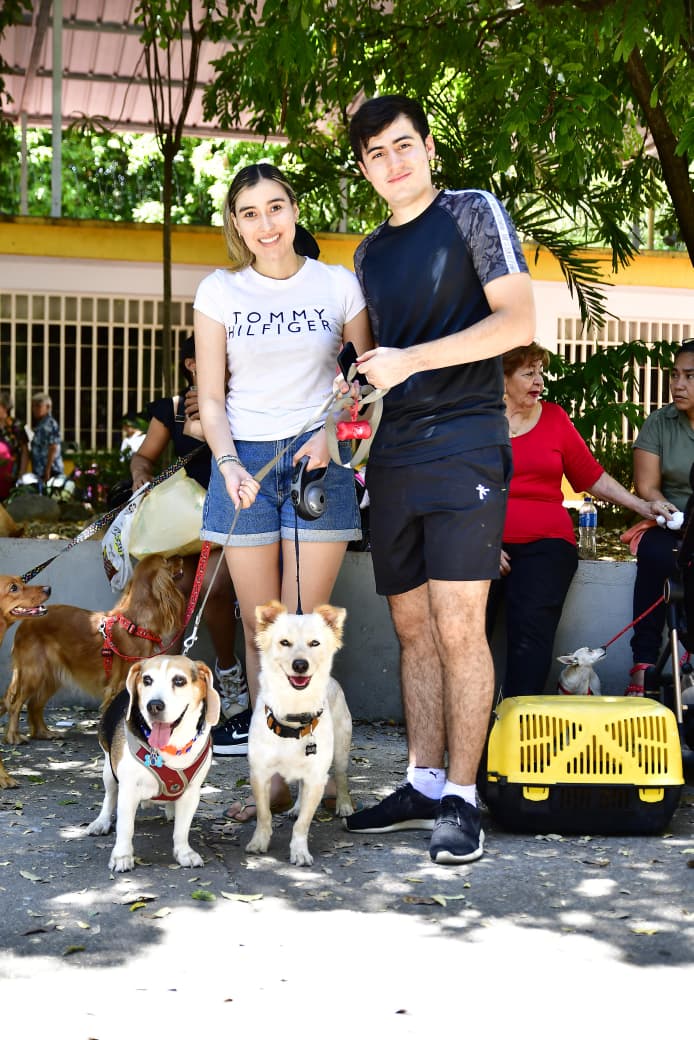 Éxito rotundo: Más de 1.500 perros y gatos esterilizados en el Huila