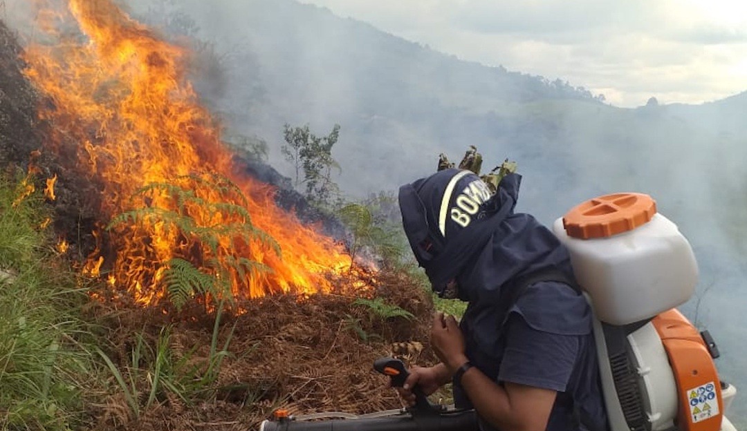 Incendios y vendaval generan emergencias en Huila: viviendas y hectáreas afectadas