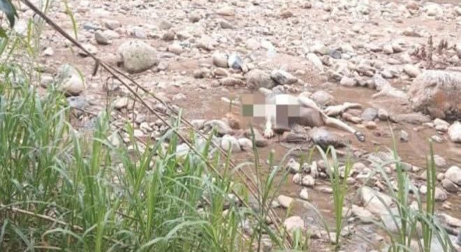 Hallan cuerpo sin vida a orillas del río Suaza en Acevedo