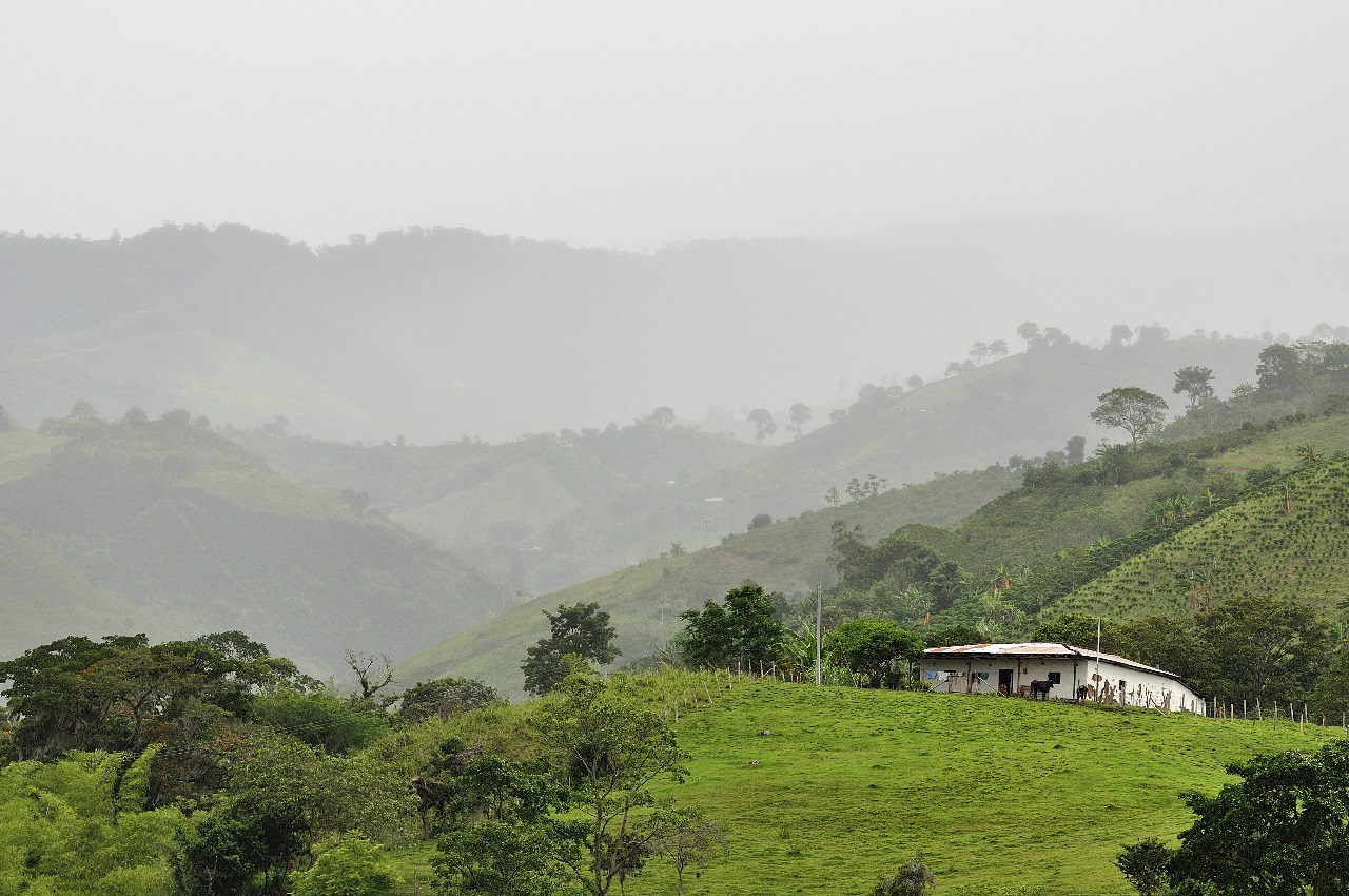 Diez municipios del Huila avanzan en ordenamiento productivo y social de la propiedad rural