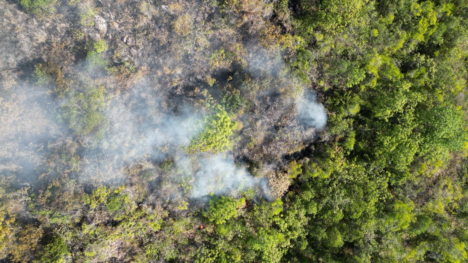 Se reactiva la Comisión de incendios para tomar acciones frente a las conflagraciones que son provocadas