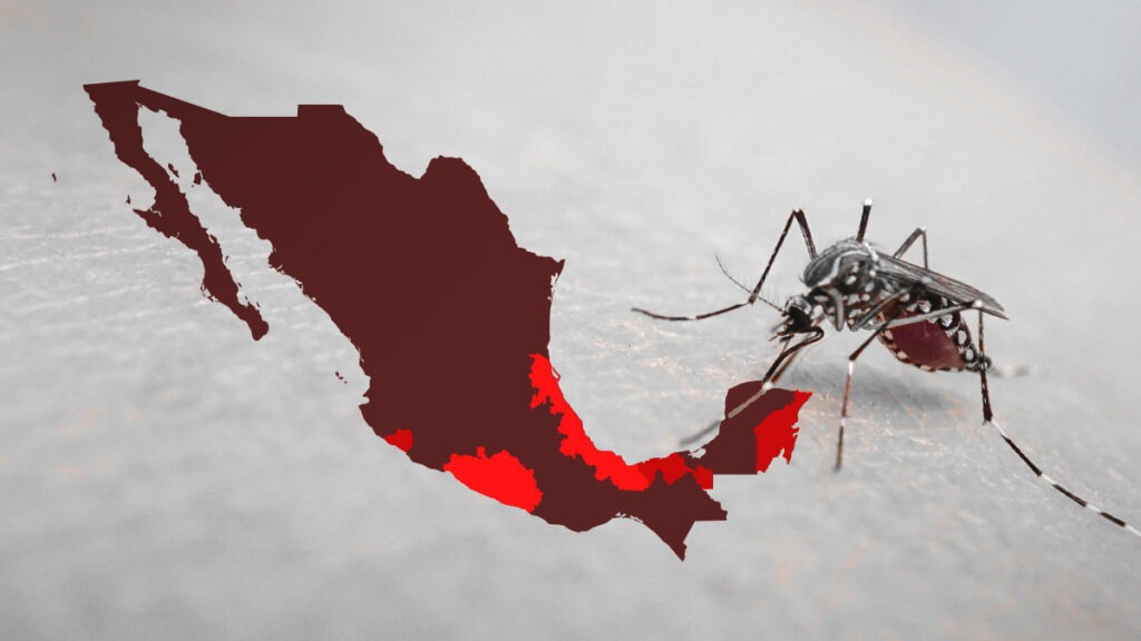 Dos comunas y varios corregimientos de la ciudad en alerta por dengue