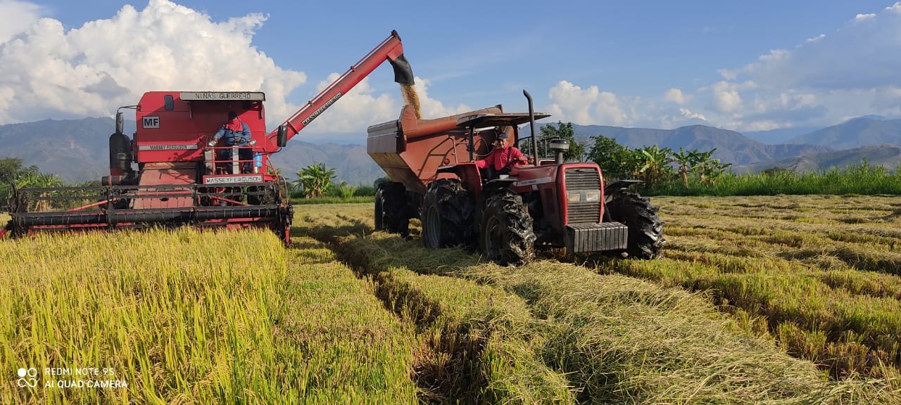 Productores arroceros del Huila califican de “promesa vacía” anuncio del Gobierno por 8.000 millones en créditos