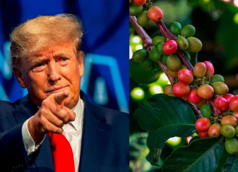 EE. UU. elimina aranceles al café: histórico alivio para Colombia y sus agroexportadores