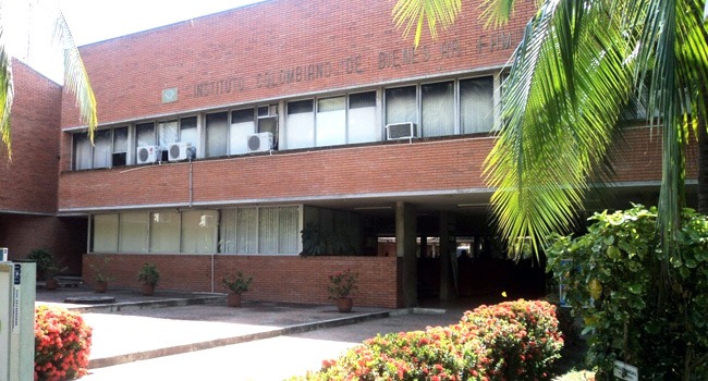 ICBF realiza restablecimiento de derechos a tres menores de edad que han resultado quemados por pólvora