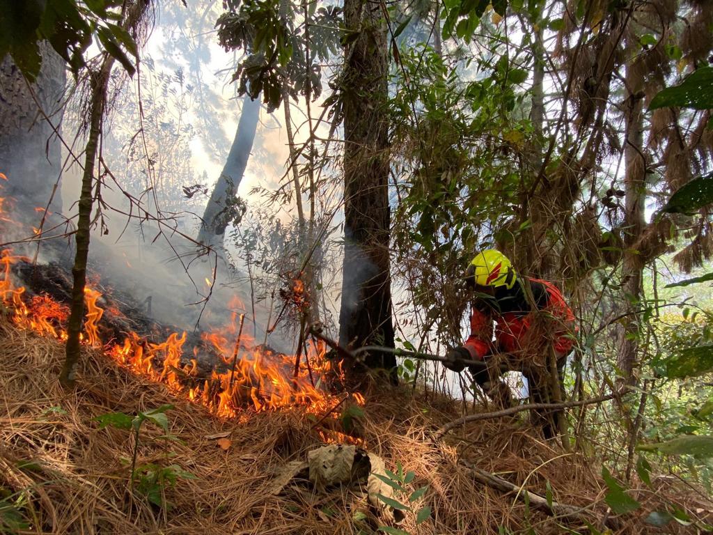 [AUDIO] 12 incendios forestales se presentan en el Huila