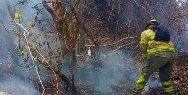 Alerta por incendios forestales en zona rural de Florencia.
