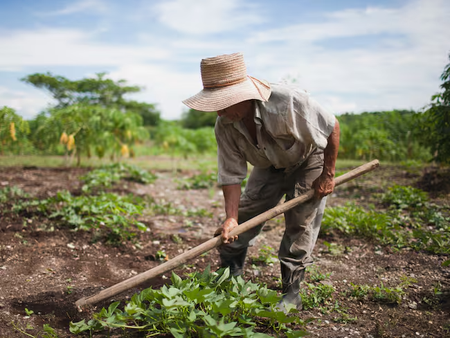 4 mil 100 hectáreas se han adquirido para campesinos en el Huila