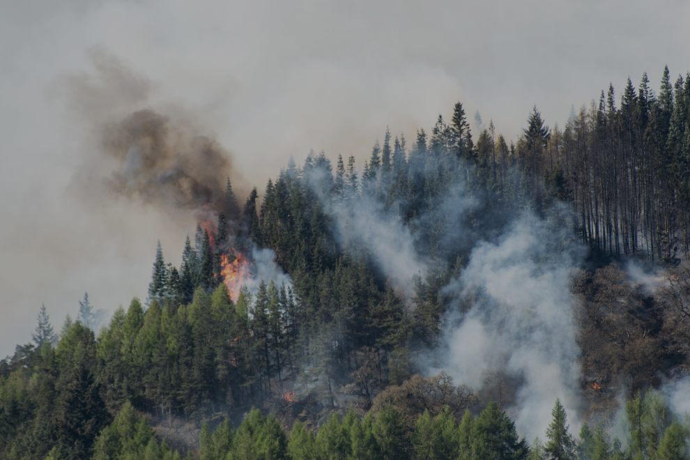 Cundinamarca se prepara para temporada de incendios forestales