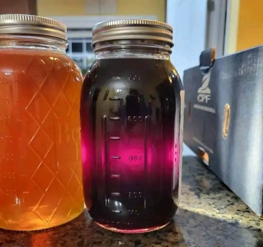 ¡ABEJAS QUE PRODUCEN MIEL DE COLOR VIOLETA!