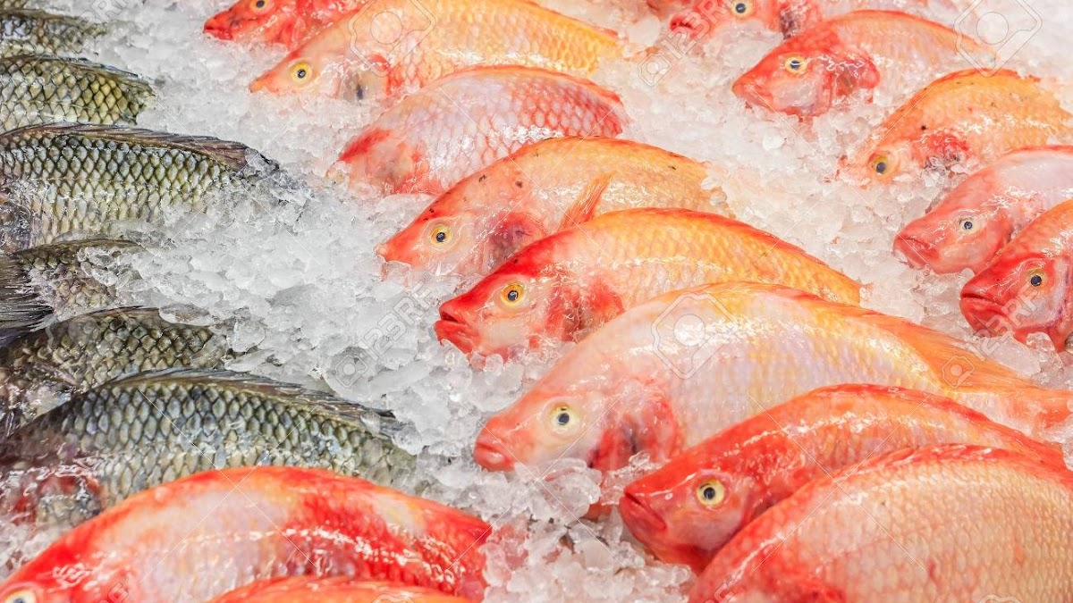 Se dispara el consumo de pescado: Huila alista hasta 25 mil toneladas para Semana Santa