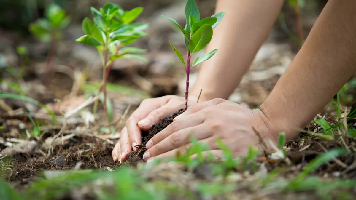 [AUDIO] Inicia el programa “Conservar paga” del Ministerio de Ambiente