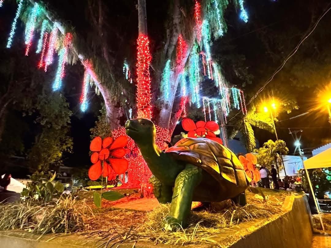 Una Navidad ambiental y sin pólvora en Pitalito