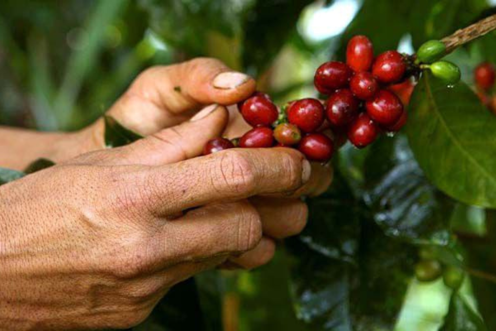 Cundinamarca se consolida como potencia exportadora