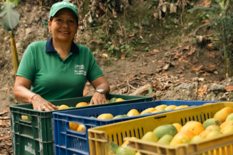 El Tequendama recibe impulso millonario