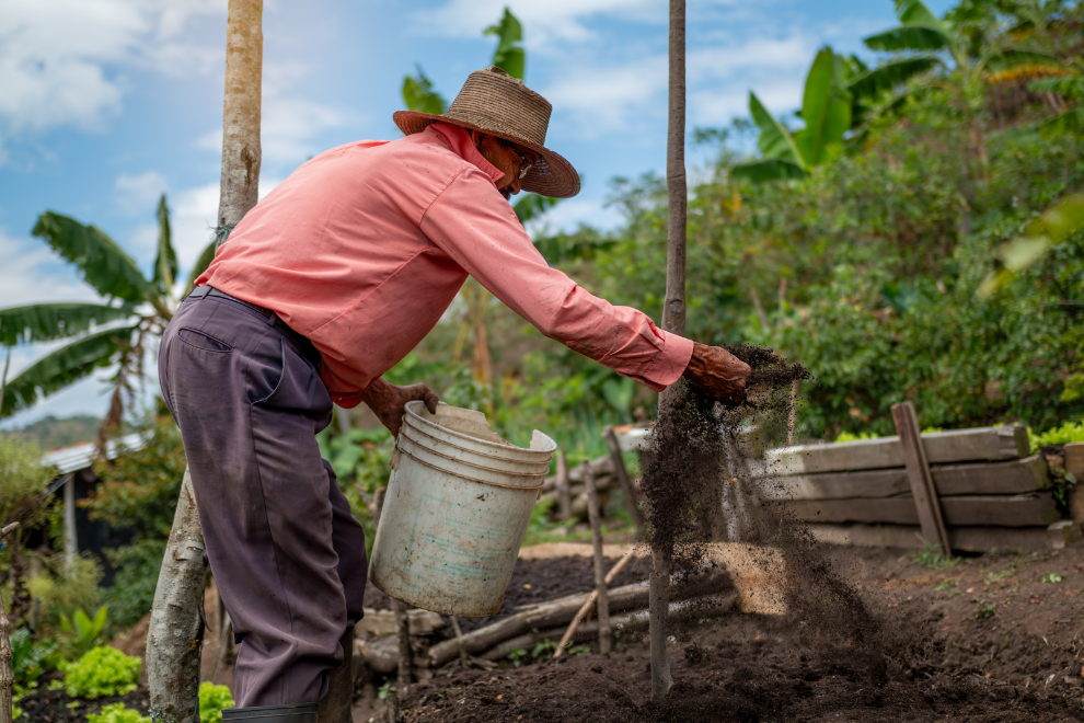 Activan fondo por $32.000 millones para subsidiar insumos del pequeño productor