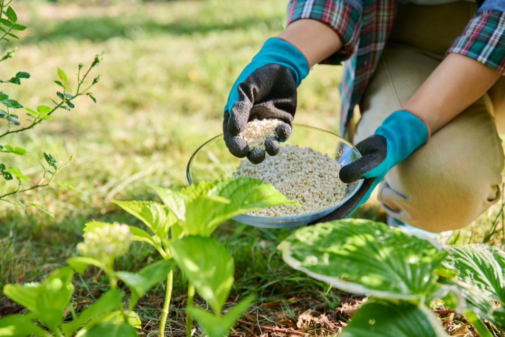 La bioeconomía impulsa nuevos ingresos en el campo colombiano