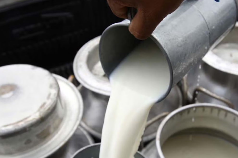El Gobierno fija el nuevo precio base de la leche