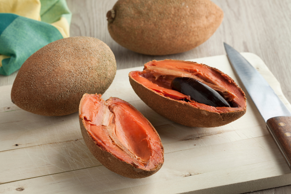 El zapote, una fruta que fortalece la biodiversidad y la nutrición
