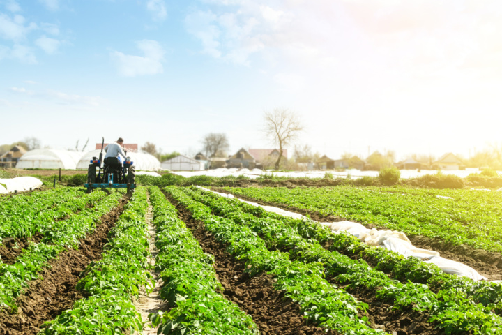 Rifirrafe por posible declaratoria de Sabana centro como zona para producción de alimentos