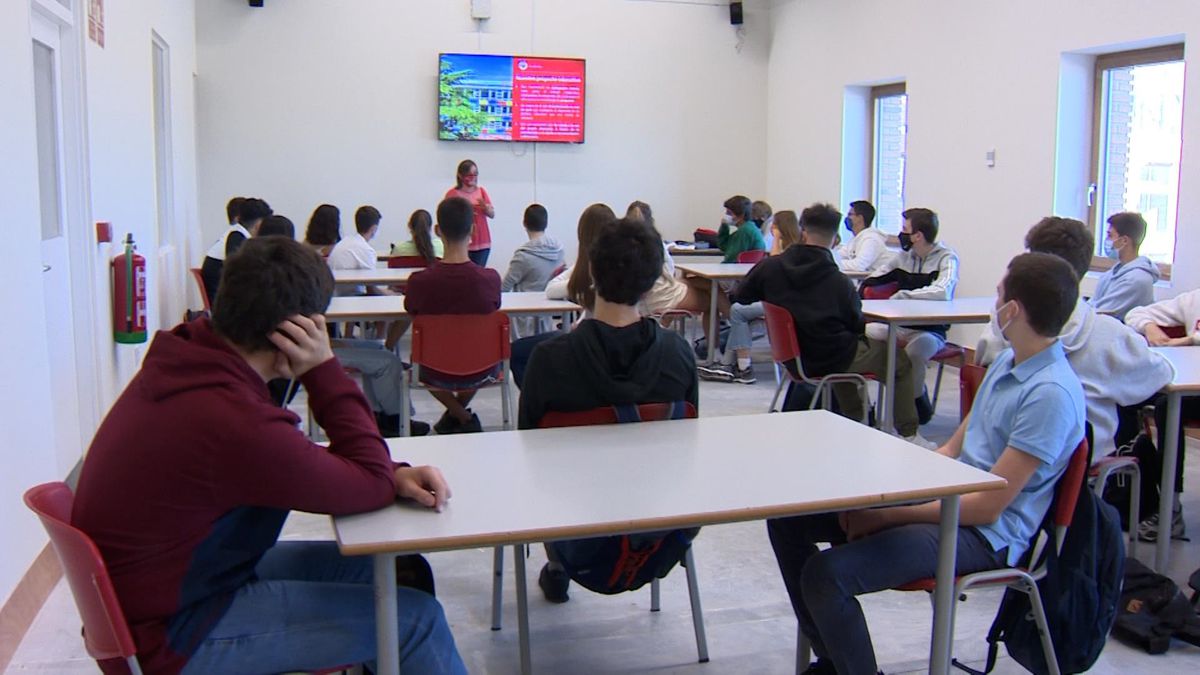 Profesores se estarían "autoamenazando".