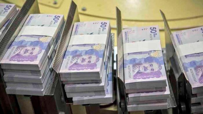 Contraloría encuentra hallazgos fiscales en Caquetá