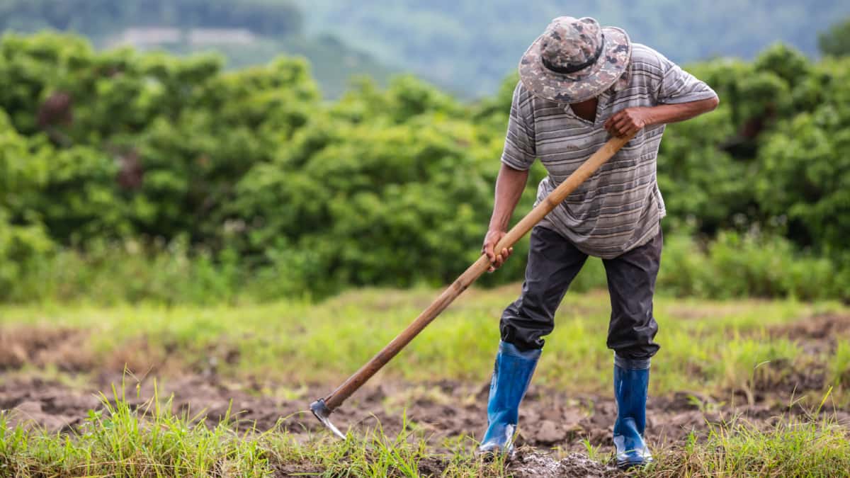[AUDIO] A la espera de la conformación del comité departamental de la reforma agraria