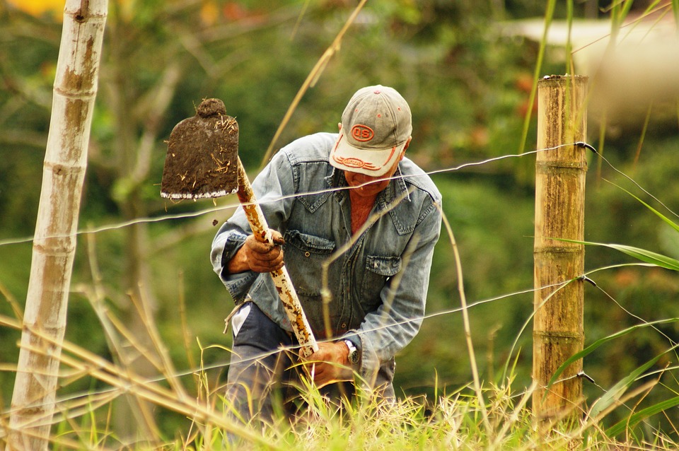 Huila será priorizado en la Reforma Agraria