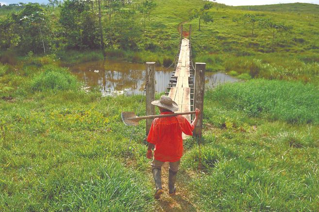 [AUDIO] Se proyecta la creación de la primera reserva campesina en el Huila