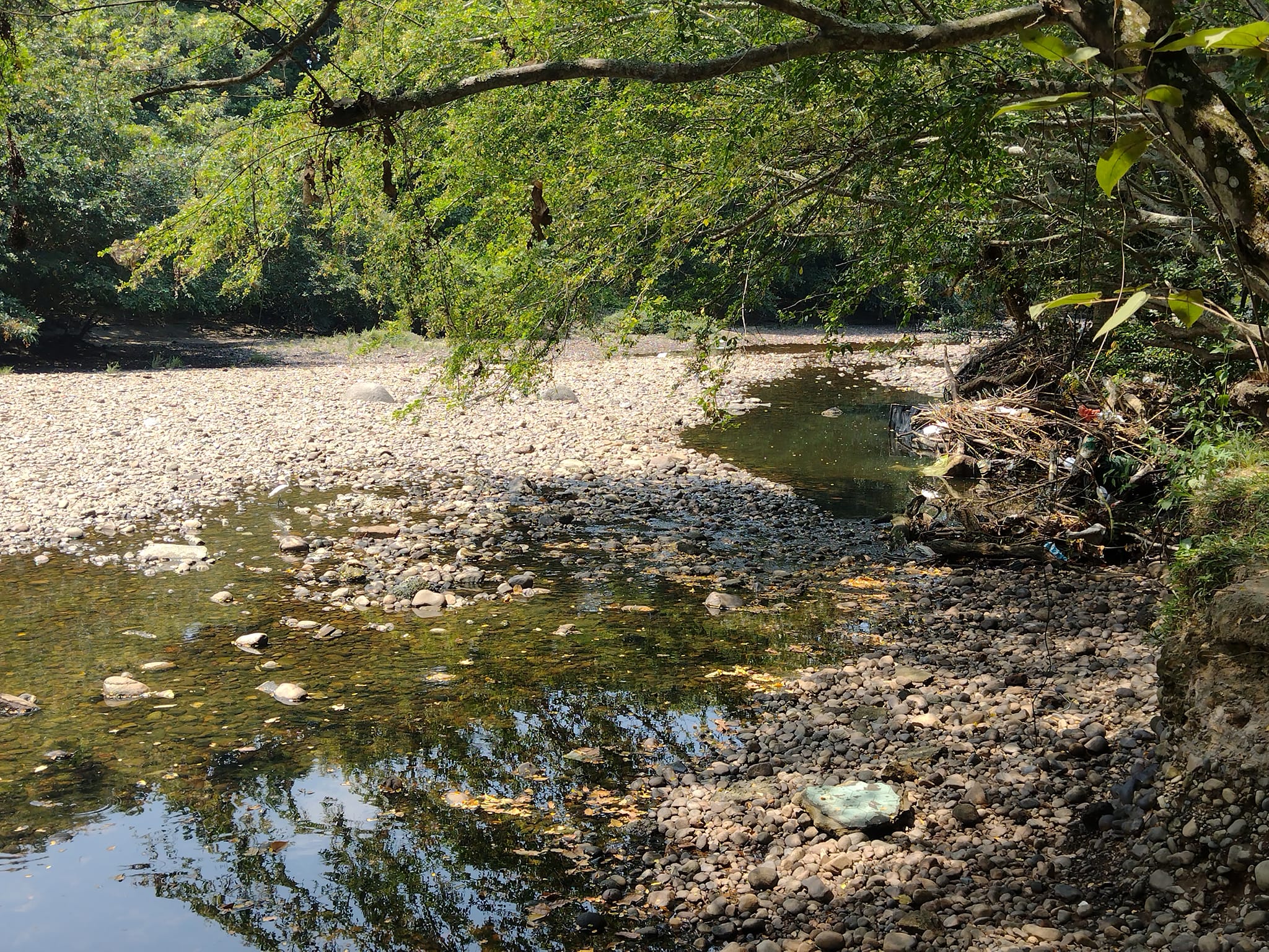 [AUDIO] Fenómeno del niño baja aceleradamente los niveles del río Magdalena