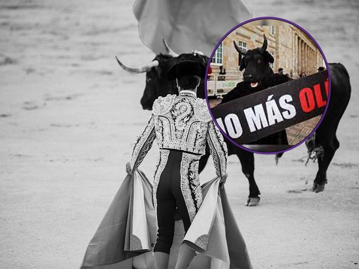 Congreso aprobó la prohibición de las corridas de toros en Colombia