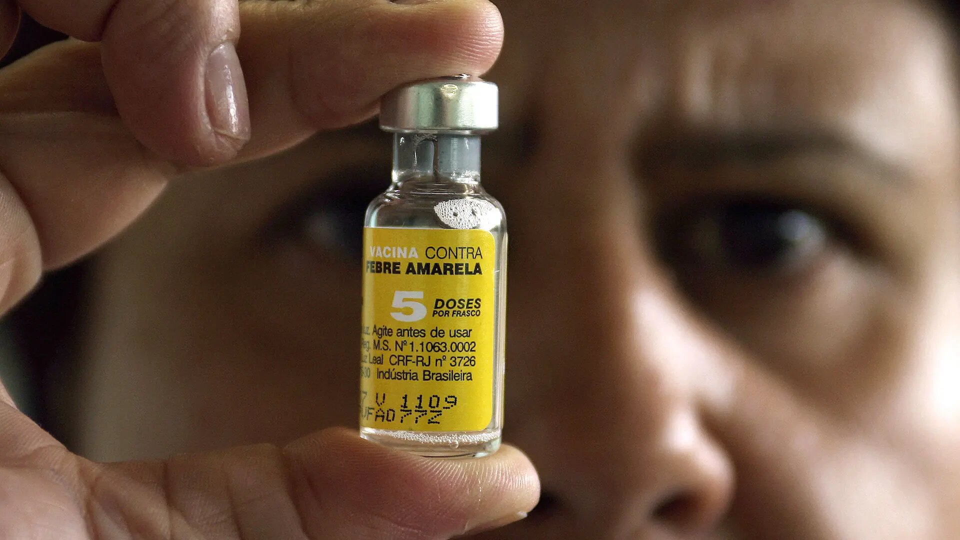 Crece la preocupación por Fiebre amarilla