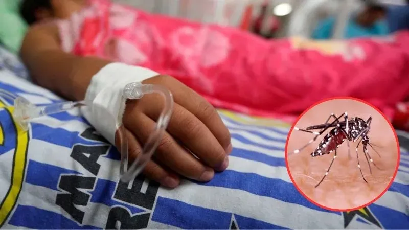 Niño de 11 años en Hobo es la tercera víctima fatal por dengue en el Huila este año