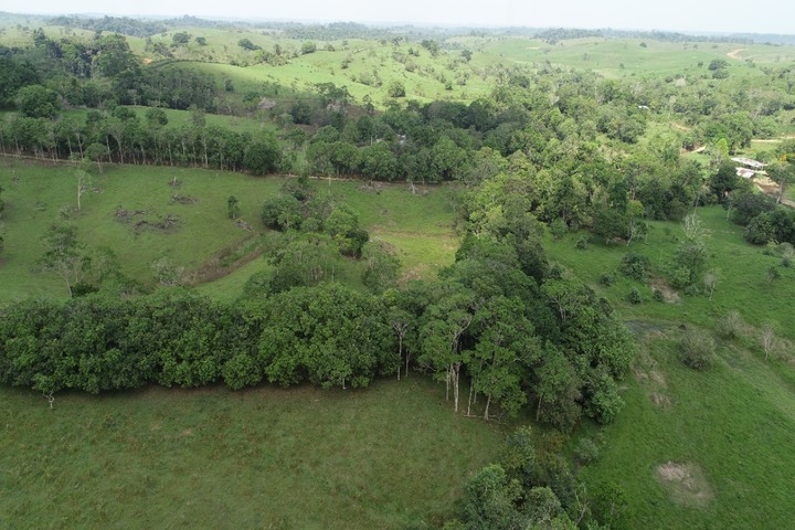 Gobierno Del Caquetá Pide Apoyar Cadenas Productivas Del Departamento