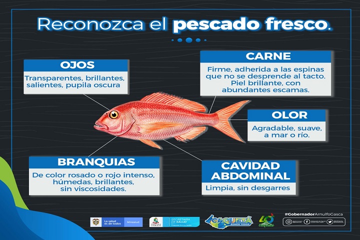 Cuidados para el consumo de pescado durante la semana santa