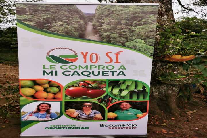 AVANZA ESTRUCTURACIÓN DE PROYECTO DE ORDENANZA PARA LA ADOPCIÓN EN FIRME DE LA MARCA COMERCIAL: “YO SÍ LE COMPRO A MI CAQUETÁ”