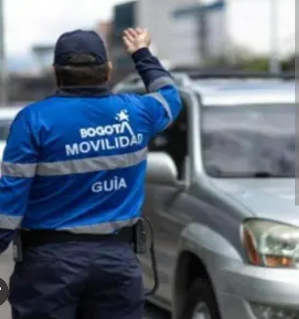 BUSCAR Pulzo      Profesor de matemáticas da supuesta fórmula para hacerle trampa al pico y placa de Bogotá