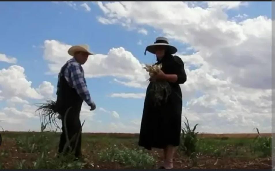 Rara secta religiosa europea dice que el paraíso queda en Colombia: ya compraron tierras