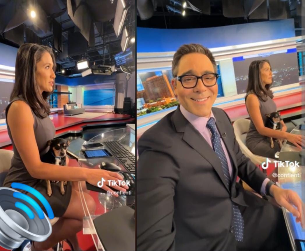 Periodista boletea a compañera en vivo: tenía un perro en las piernas en pleno noticiero